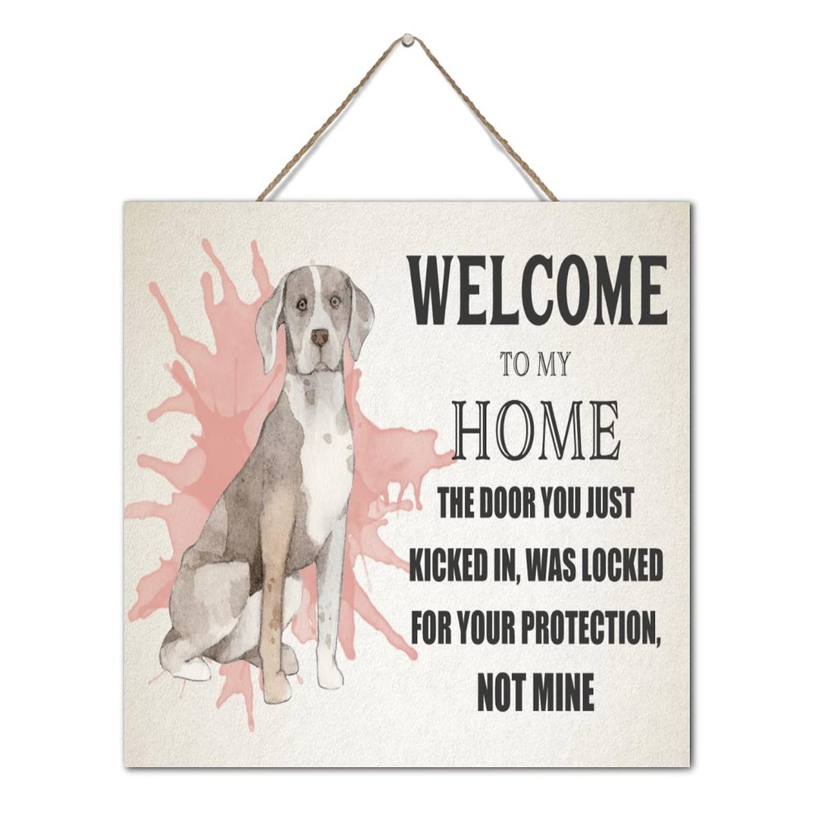 Plaque en bois murale haut de gamme avec inscription humoristique durable