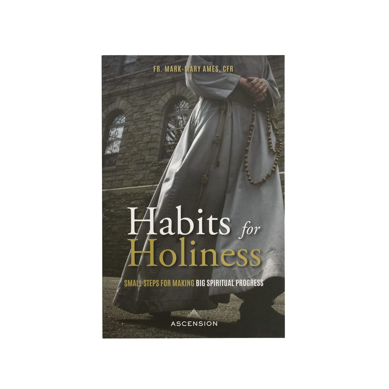 Buy Habits for Holiness: Small Steps for Making Big Spiritual Progress — BookShops.in