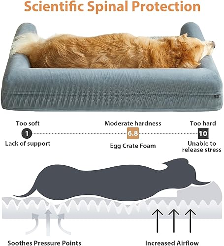 Miniatura 2 de LNSSFFER Camas lavables para perros grandes, sofá cama ortopédica para perros con funda extraíble y forro impermeable, sofá cama lavable para