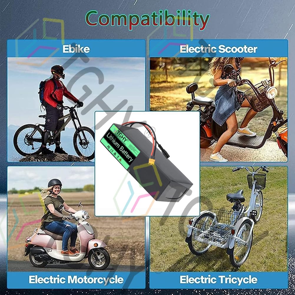 TGHY Batteria per Bici elettrica 36V 48V 29,4V 25,2V Pacco Batteria agli ioni di Litio 24V 8AH 10AH 12AH 15AH 20AH BMS Integrato per Motore per Carrello da Golf Triciclo 0-1000W,25.2v 8ah