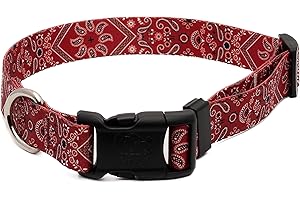 Country Brook Petz - Deluxe Western Bandana Collar for Large Dogs