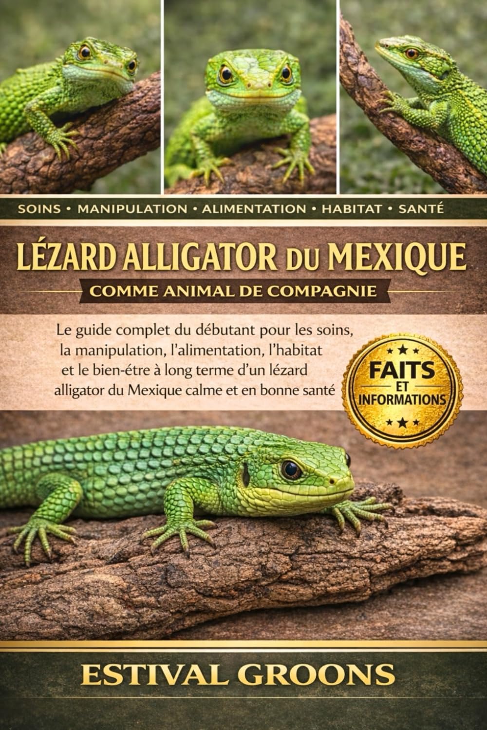 Lézard Alligator Du Mexique Comme Animal De Compagnie: Le guide complet du débutant pour les soins, la manipulation, l’alimentation, l’habitat et le ... alligator du Mexique calme et en bonne santé