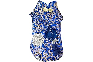 Chinese New Year Dragon Dog Costume: Embrace Auspicious Festivities