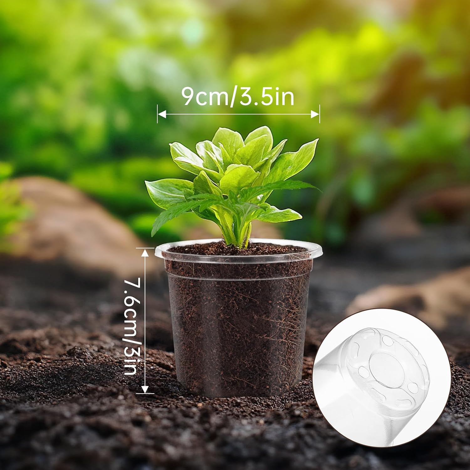 30 Pack Clear Nursery Plant Pots, 3.5 Inch with Drainage Holes, 20 Labels image 4