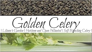 Celery Seeds “Golden” - Self-Blanching Celery with No Strings | Heirloom Seeds by Liliana's Garden |