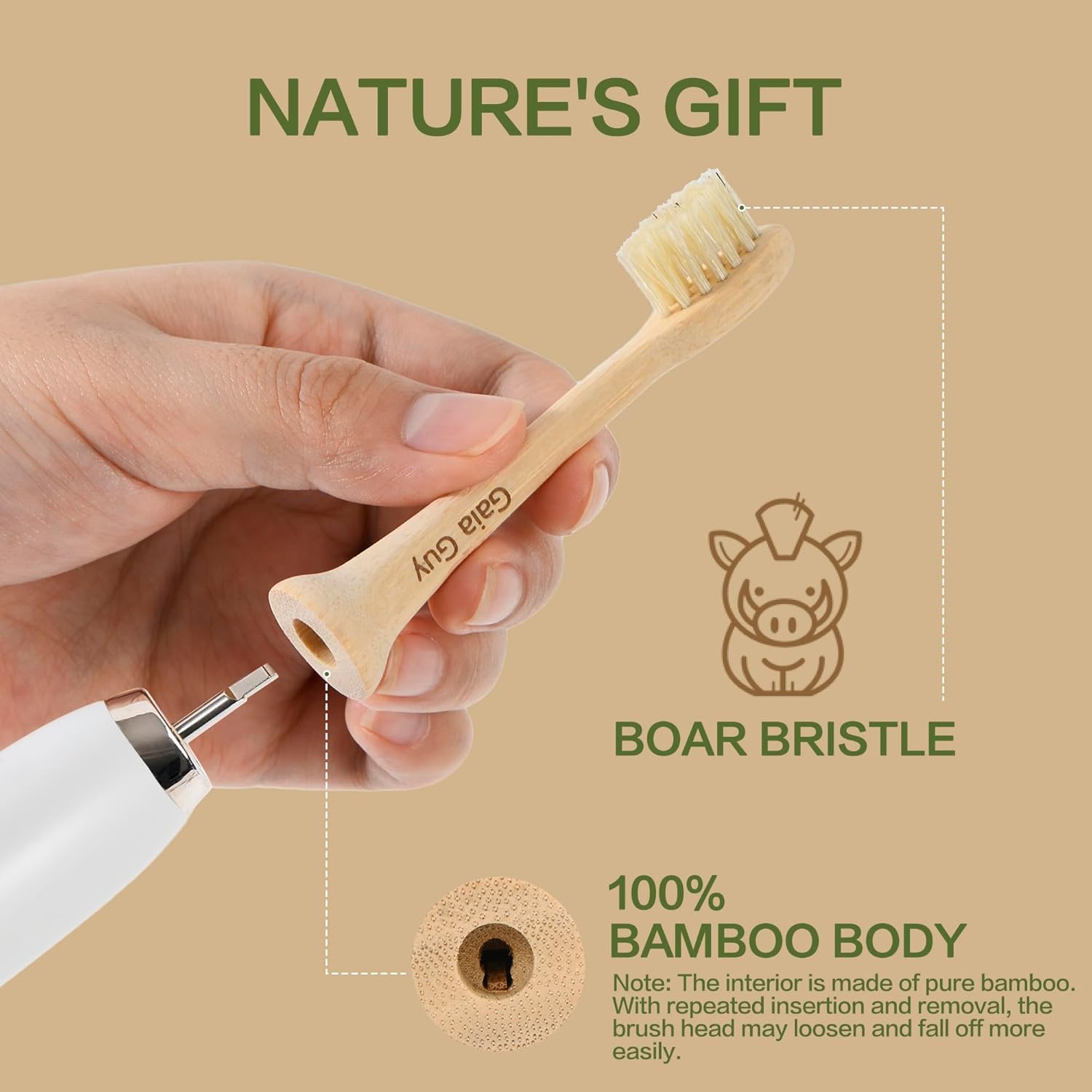 Gaia Guy Bamboo & Boar Bristle Electric Toothbrush Heads | 4-Pack for Philips Sonicare | 100% Uncoated, Plastic-Free, No Nylon/PLA Core