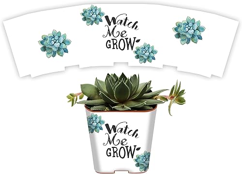 PRODUCT80 Envolturas de suculentas para regalos de boda para macetas de 2 pulgadas, recuerdos de baby shower, fiesta de compromiso, calcomanías para