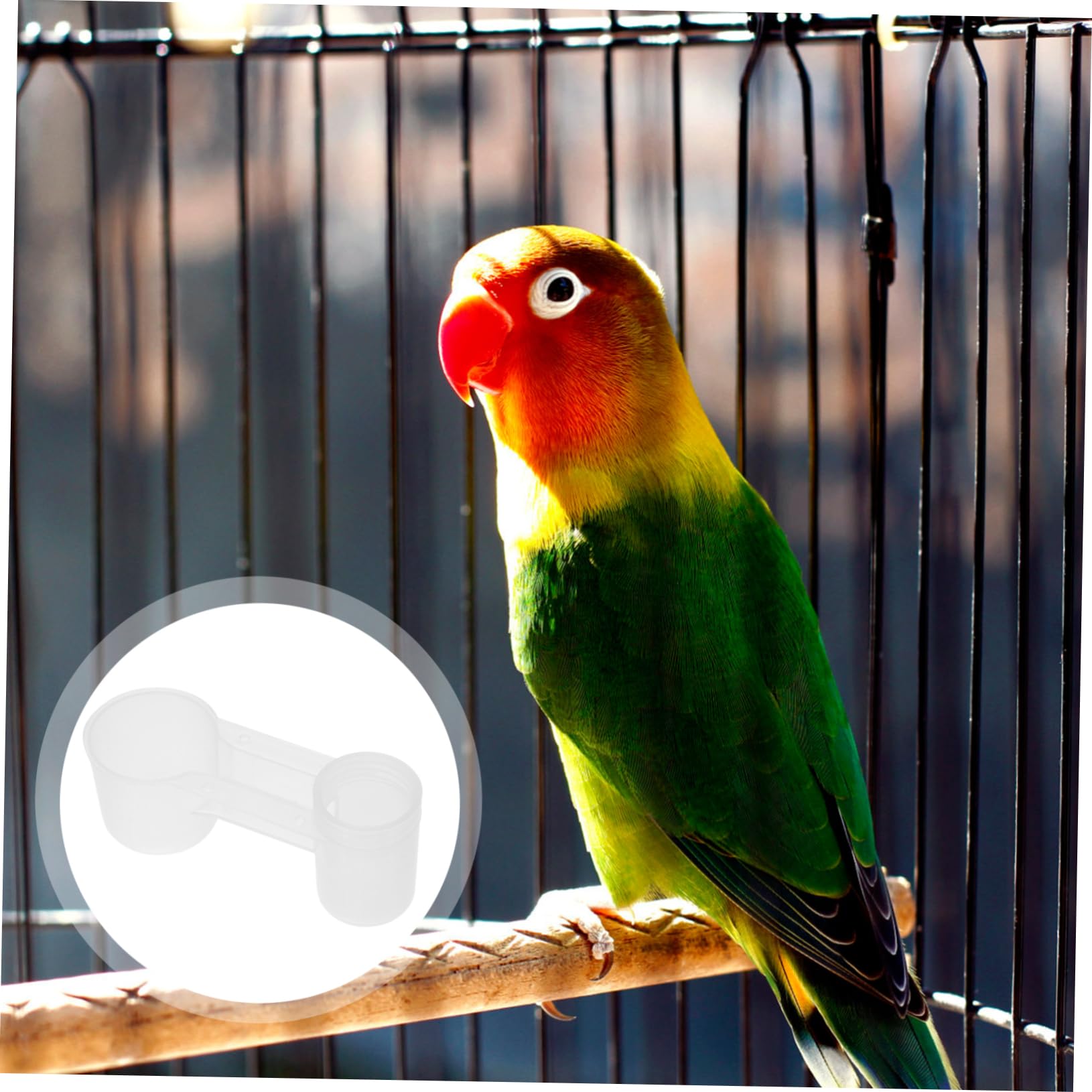 WOONEKY Bebedero para Pájaros y Palomas de Plástico Blanco 2 Puertos, Fácil de Limpiar y Proporciona Agua Limpia, Adecuado para Casa y Zoológico, Paquete de 10 Unidades