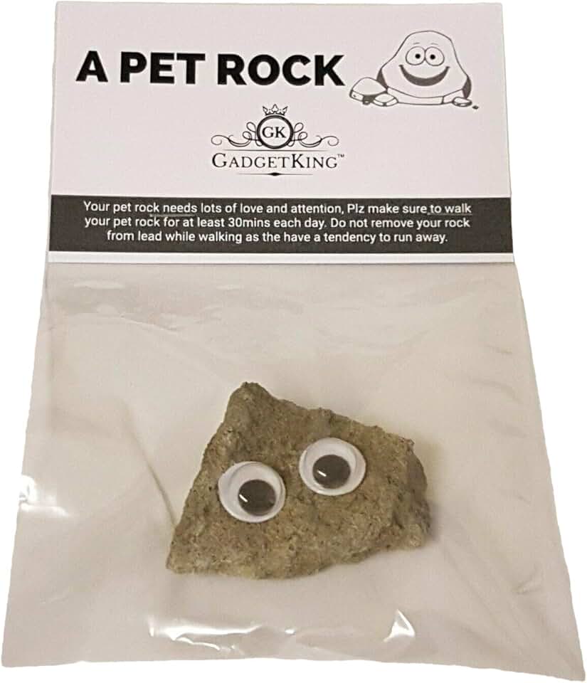 Amazon.co.uk pet rock