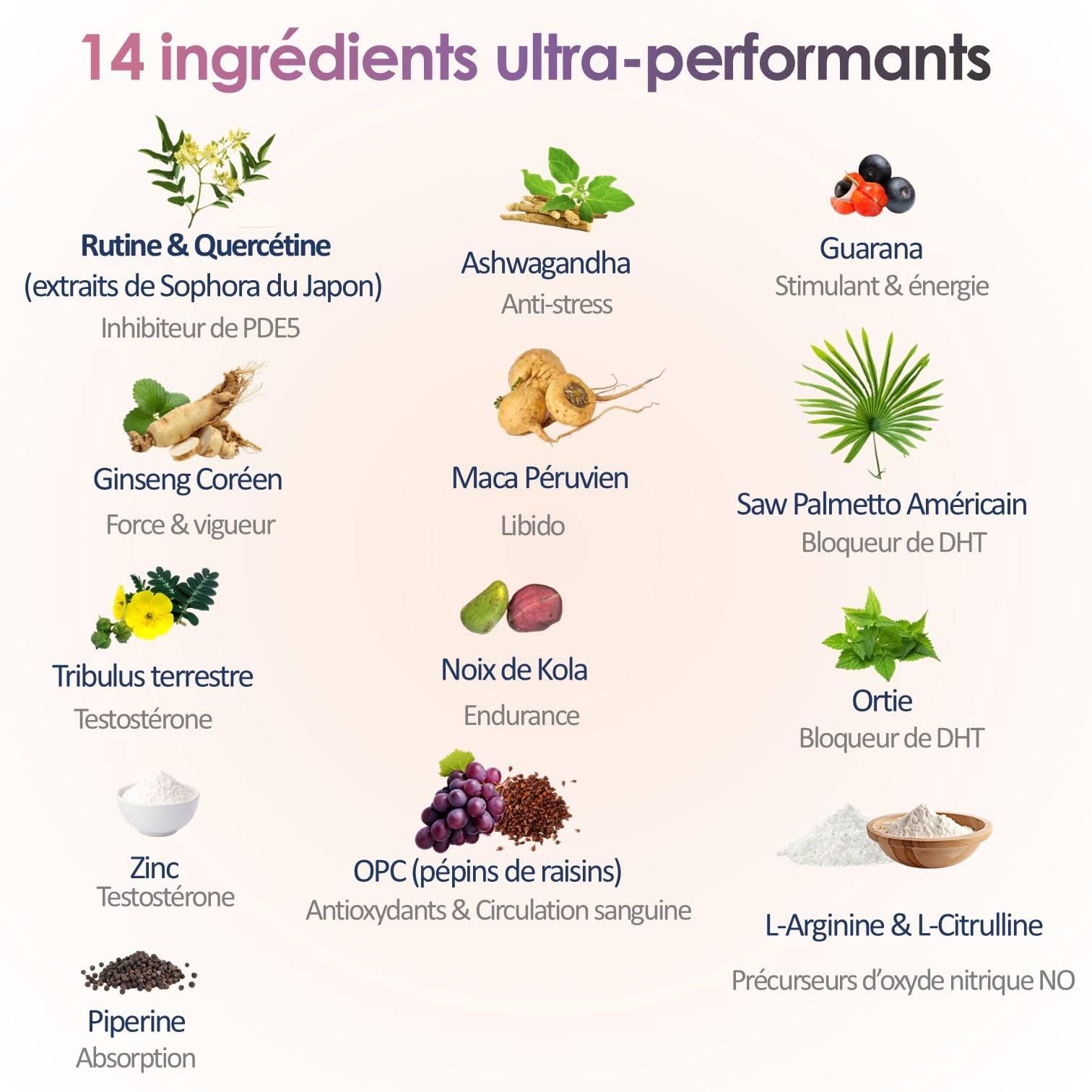 Verecta Platinum | 55 Gélules Endurance Homme avec L-Arginine, Ginseng, Maca | Micro Circulation Sanguine, Testosterone | Endurance, Énergie & Performance | Qualité FR