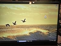 Review Image by Amazon customer Amazon customer