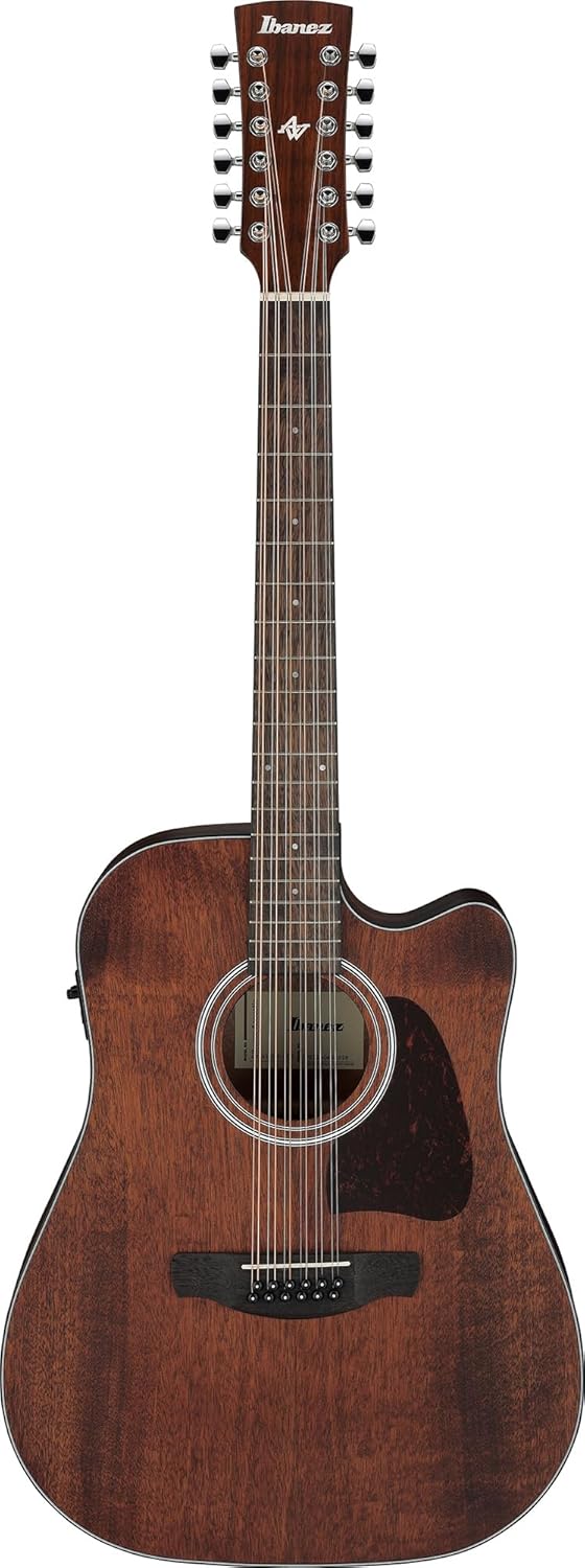 Ibanez AW5412CE Artwood Traditional Acoustic-Electric Guitar - Open Pore Natural Bundle with Case, Strap, D'Addario Strings, Picks, Austin Bazaar Instructional DVD, and Polishing Cloth