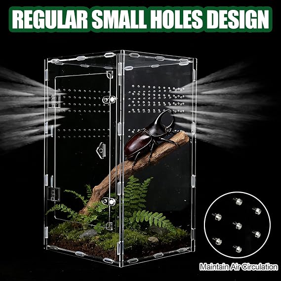 Acrylic Jumping Spider Enclosure, Transparent Reptile Terrarium Enclosure, Small Reptiles Habitat Tank Breeding Box for Tarantula Insect Snake Lizard (13.78 Large)