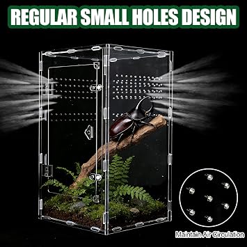Acrylic Jumping Spider Enclosure, Transparent Reptile Terrarium Enclosure, Small Reptiles Habitat Tank Breeding Box for Tarantula Insect Snake Lizard (13.78 Large)