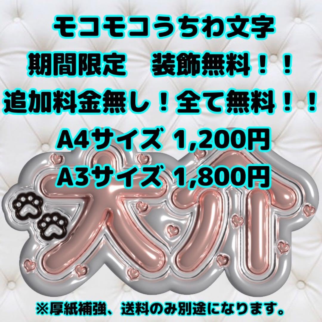 Amazon.co.jp: SnowMan ぷっくり ネームプレート うちわ うちわ文字  