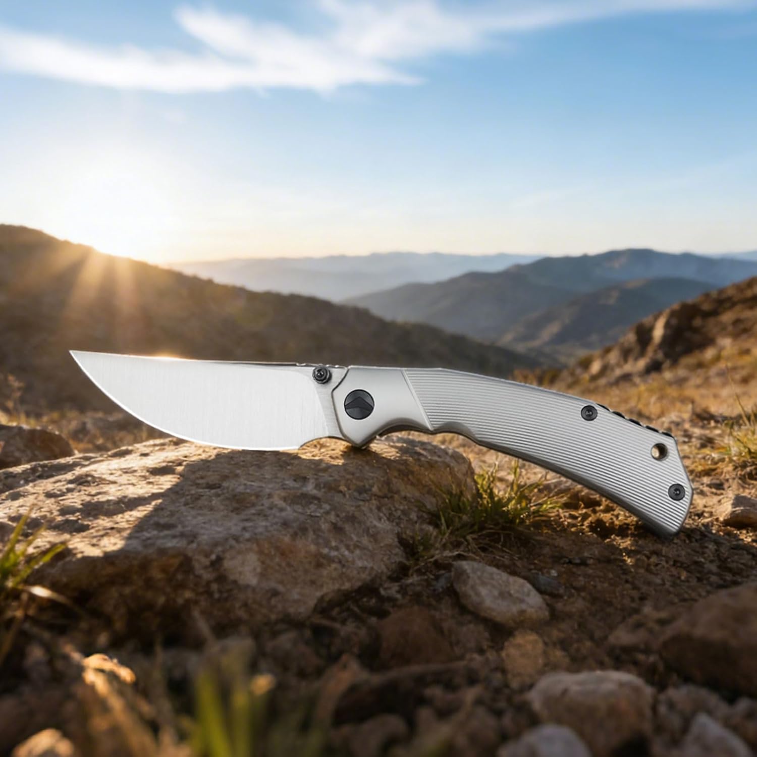 Reaver Titanium Pocket Knife, 3.82'' S90V Blade Titanium Handle Frame Lock Folding Pocket Knives, EDC Knife Gift for Men Women Outdoor Camping, Hiking, Fishing (Bead Blast & Black)