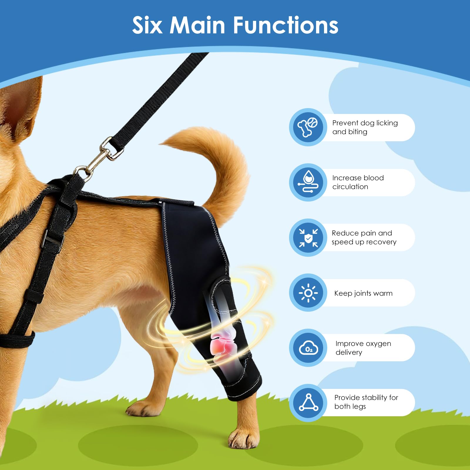 Crlvlyn Dog Knee Brace for Hind Leg Dog Hind Leg Support Protector for Torn ACL Injuries Keeps Joints Warm and Stable - Image 3