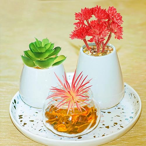 Miniatura 5 de Plantas suculentas artificiales, 6 piezas de mini plantas suculentas falsas para manualidades, hogar, pared, oficina, decoración (excluyendo macetas)