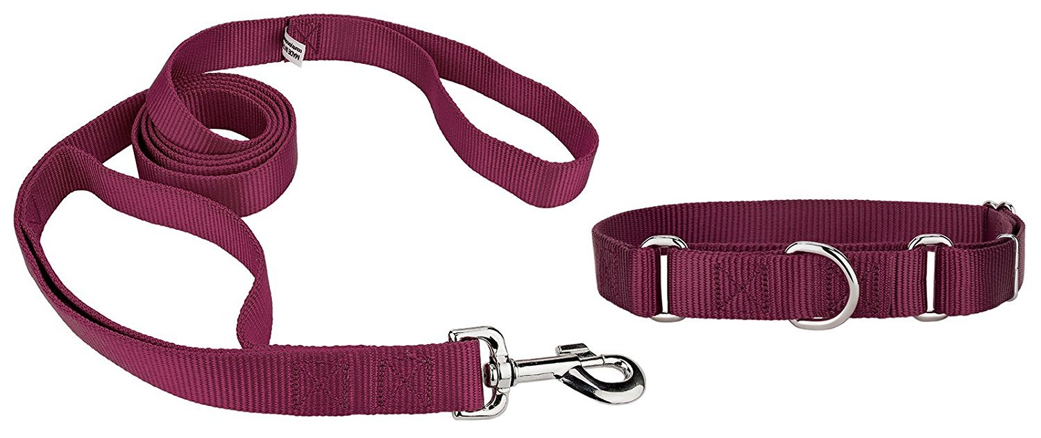 See full amazon price history chart for Pets Empire Nylon Pet Small Dog Tracking Basic Leash with Adjustable Collar Belt - Color May Vary Size : Medium-20mm Pets Empire Nylon Pet Small Dog Tracking Basic Leash with Adjustable Collar Belt - Color May Vary Size : Medium-20mm (B0791G5FR3) Amazon Price History, Amazon Price Tracker