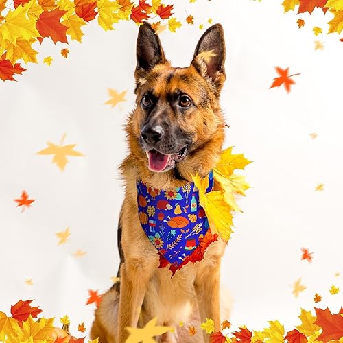Miniatura 3 de 40 bandanas de otoño para perro, a granel, para el día de Acción de Gracias, baberos, calabaza, hojas de arce, triangular, bandana reversible para