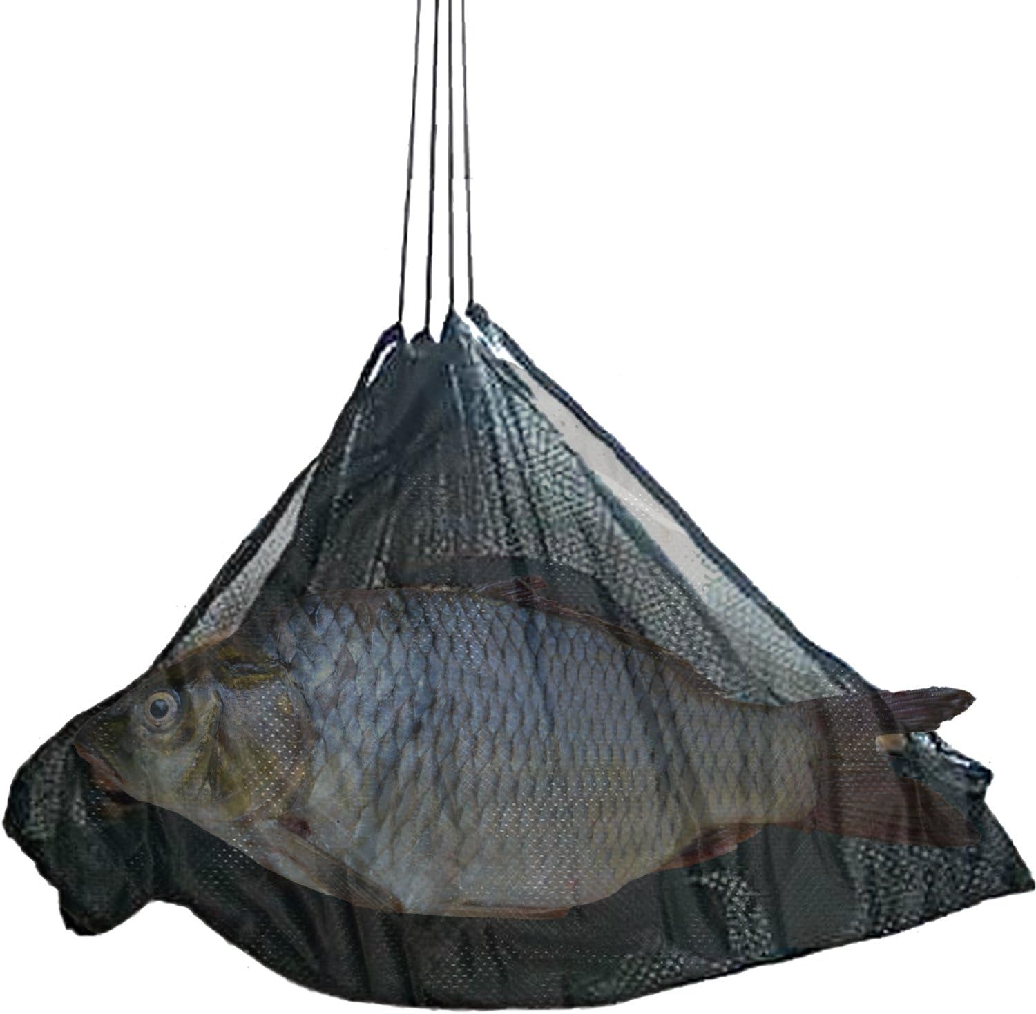 Carp Fishing Weighing Sling by Ultimate Angling - Now with A Free 12 Month Guarantee !
