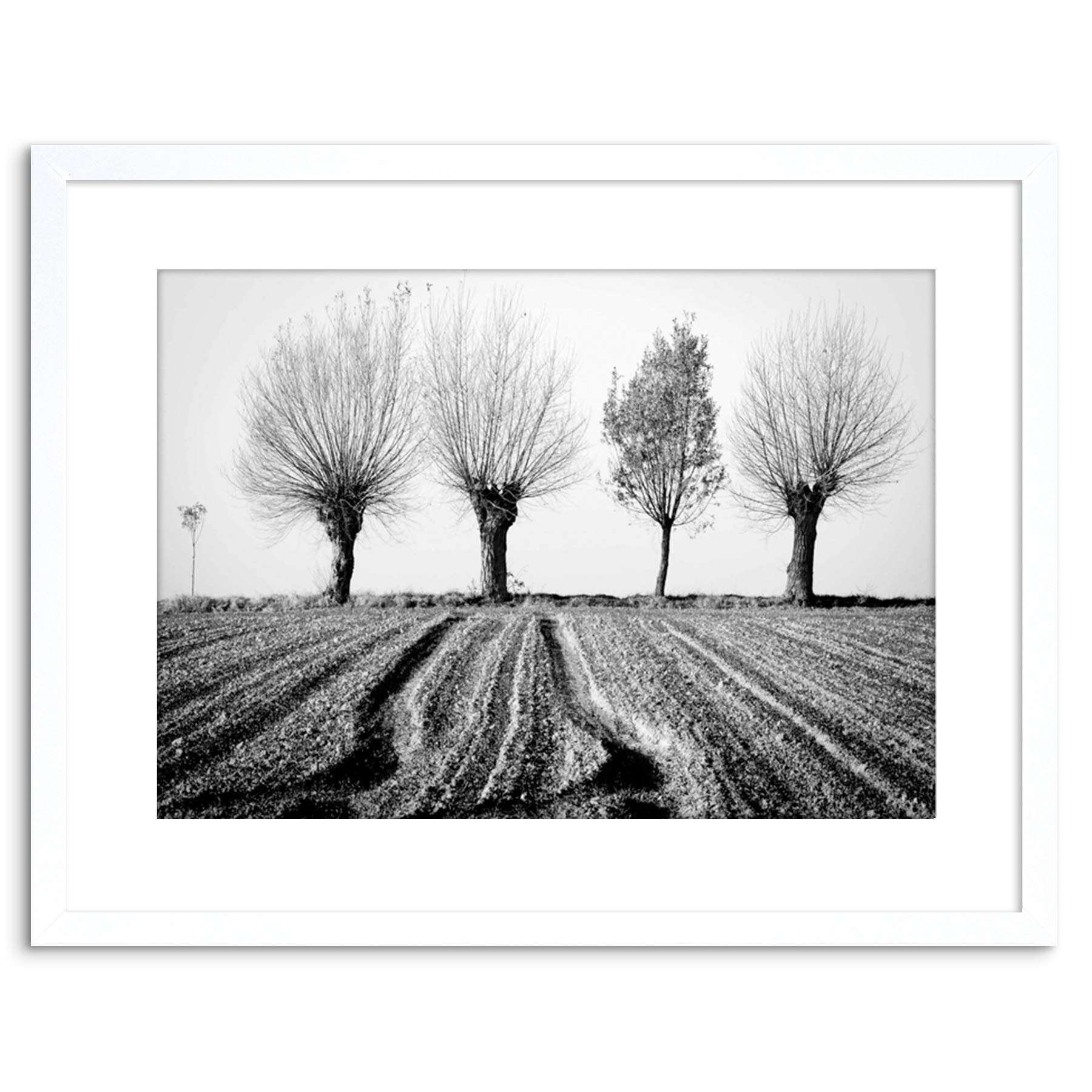Wee Blue Coo 9x7 '' TREES HORIZON BLACK WHITE FRAMED ART PRINT PICTURE MOUNT PHOTO F97X1560