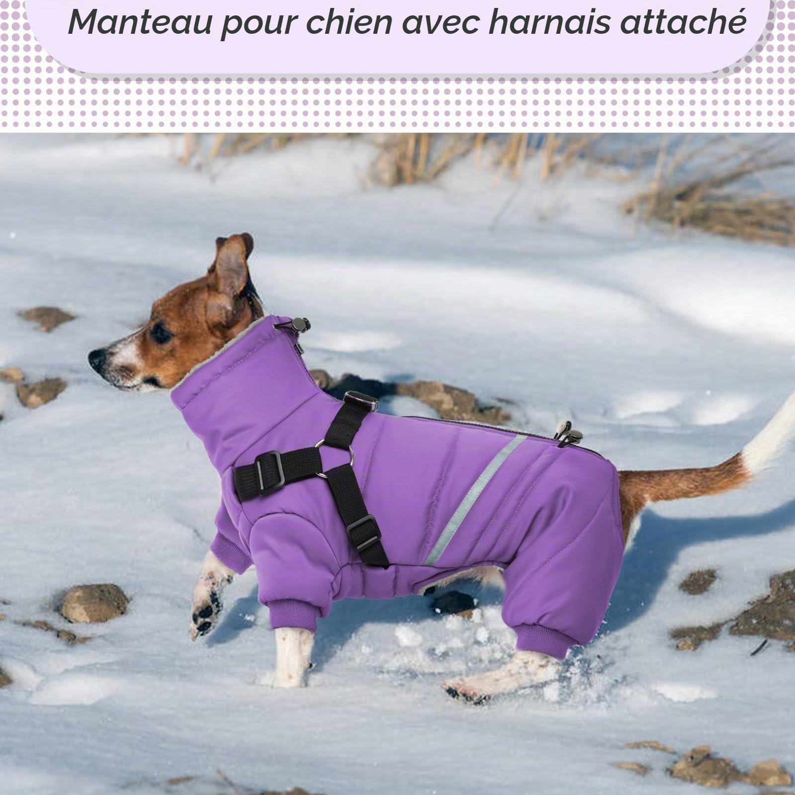 Manteau Chien Imperméable, Manteau pour Chien, Manteau Chien avec Harnais, Manteau Chien Hiver, Manteaux d'hiver pour Chiens, Vetement Chien pour Chihuahua Bouledogue Francais - S-XL
