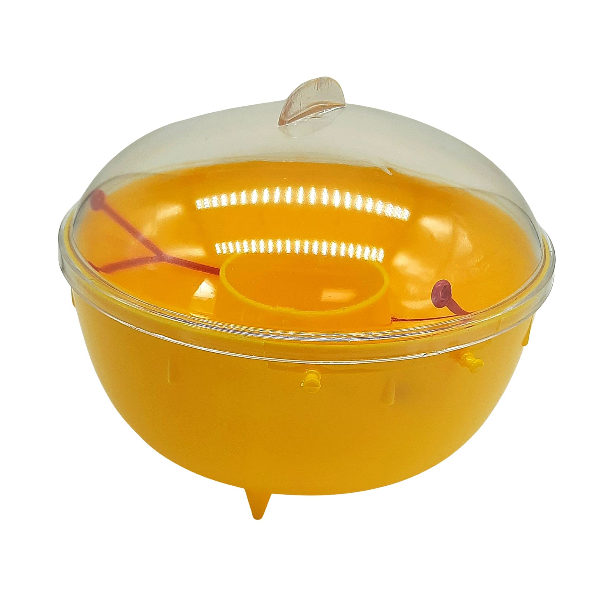 BARRIERE A INSECTES Piège à Guêpes, Mouches et Frelons, 1 Piège, BARPITRAP (Lot de 2)