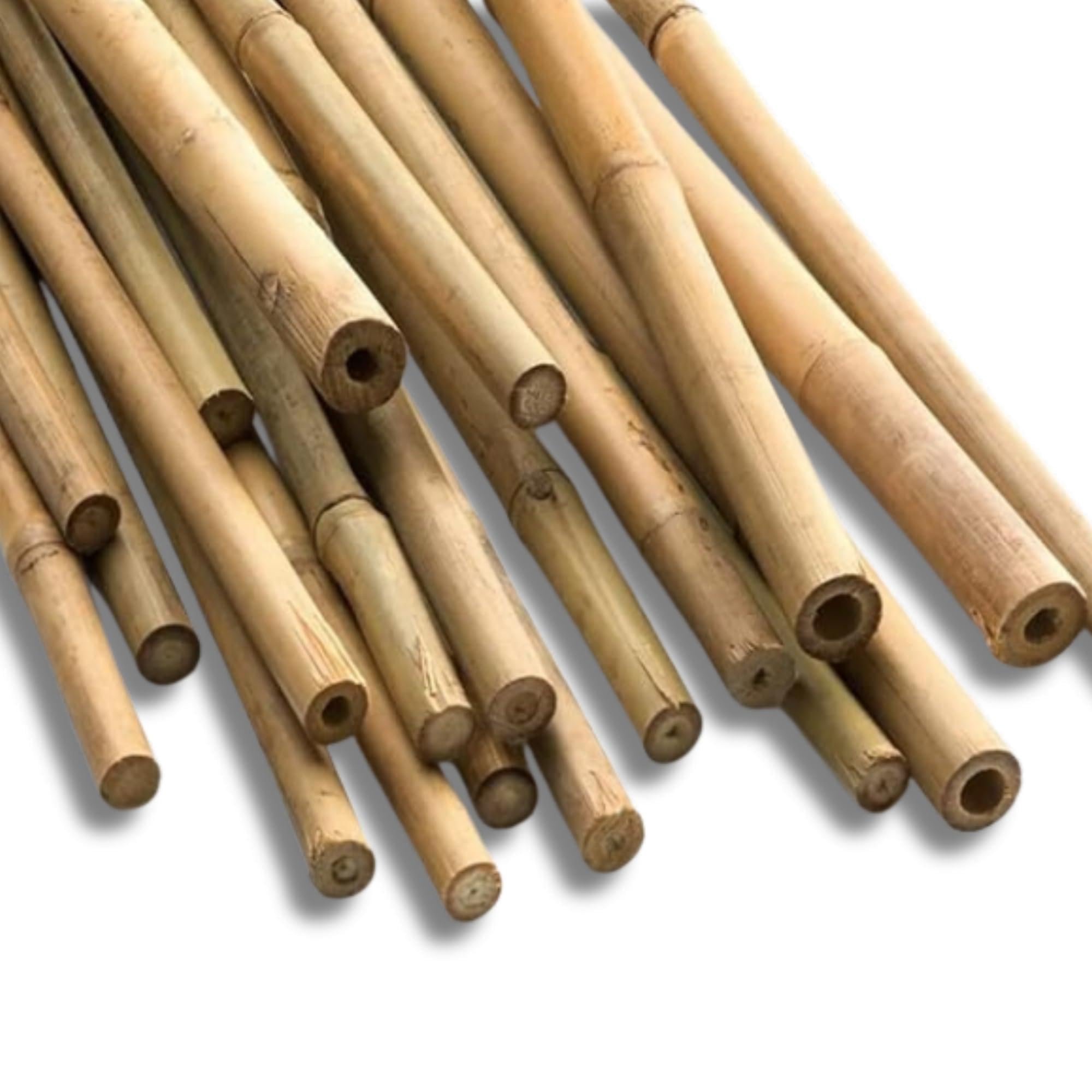 Gardens Strong Heavy Duty Professional Bamboo Plant Support Garden Canes | All lengths in stock 2, 3, 4, 5 & 6ft | Choose from a range of pack sizes from 10 to 250 | 2ft x 10 (250, 5ft, 12 - 14mm)