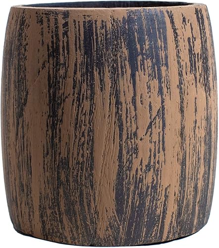 Miniatura 9 de Kit completo de semillas de hierba orgánica para gatos, semillas orgánicas para 3 cultivos, 2 discos de tierra, maceta de madera con agujero redondo