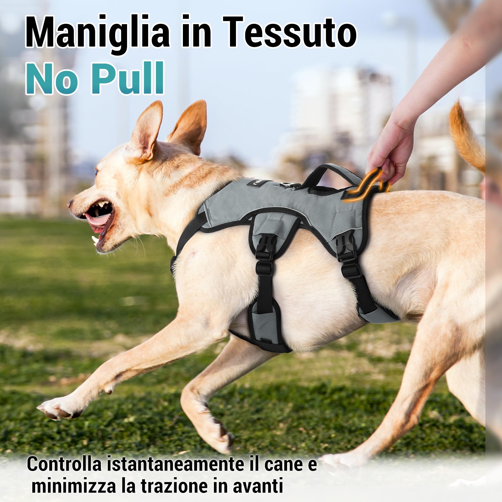 Pettorina Antifuga Per Cani LiebeDD - Taglia M, Nera, Regolabile, Con Maniglie E Strisce Riflettenti, Per Taglia Piccola/media - Foto 10
