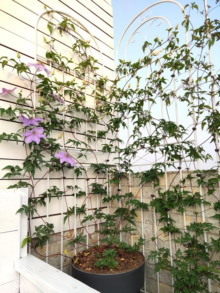 Treillis de jardin blanc de 180,8 cm de haut pour plantes grimpantes, terrasse, pelouse, décoration murale, structure de support pour plantes d'extérieur