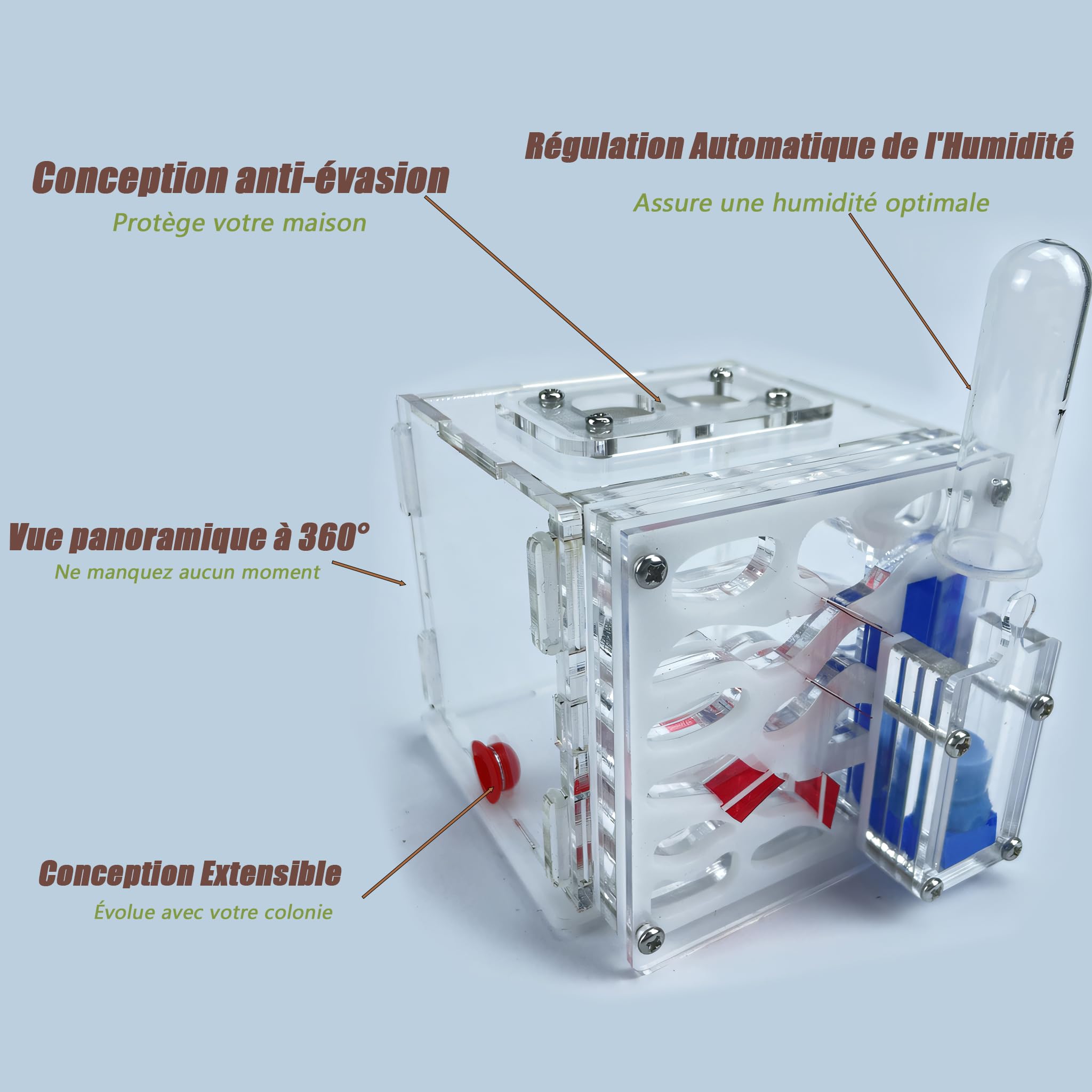 Kit de démarrage fourmilière acrylique système hydratation automatique facile installation nid fourmis peu entretien débutants