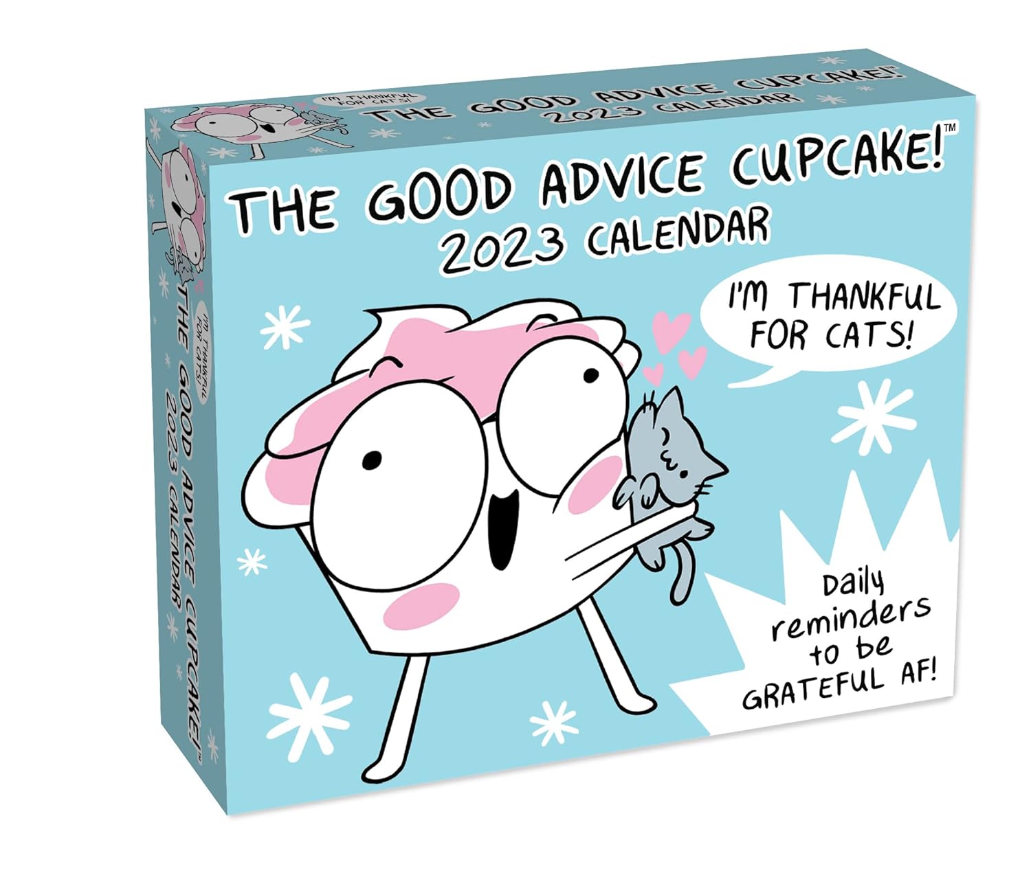 The Good Advice Cupcake 2023 DaytoDay Calendar Daily Reminders to Be