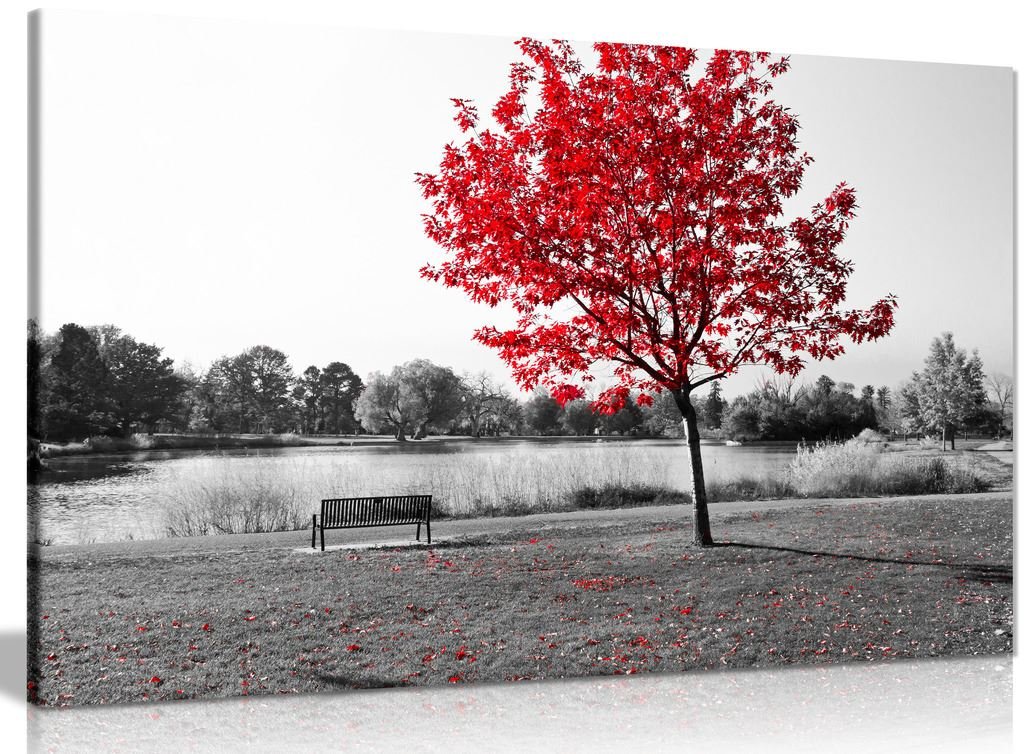 Panther Print White Large Tree Red Leaves Black Park Bench Nature Canvas Wall Art Picture Print (36X24in)