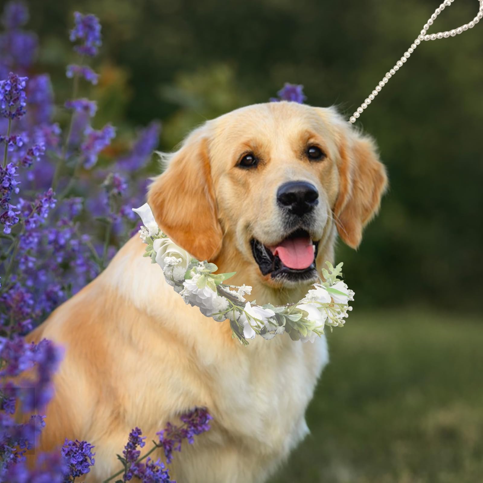 Hundehalsband mit Blumenhalsband mit Perlen, elegantes Hunde-Stirnband, Hochzeitskleidung, Kranz, Schleife, verstellbarer Kranz, Hochzeitsoutfit, Blumenhalsband, Haustier-Foto-Requisite (weiß)