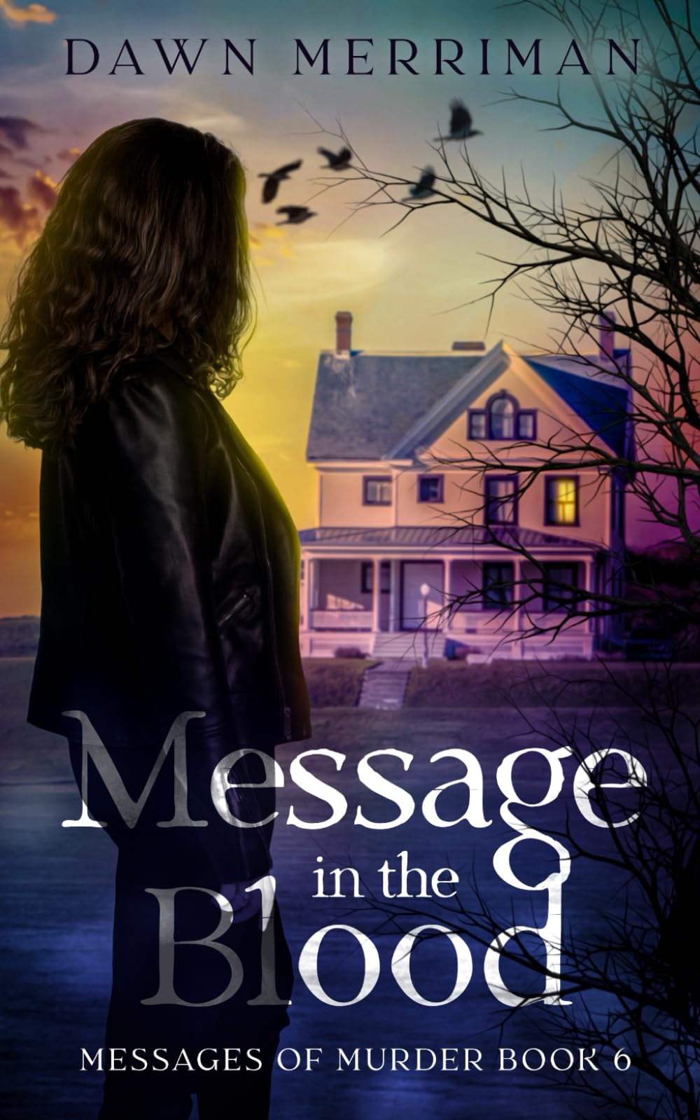 MESSAGE in the BLOOD: A small town psychic kidnap mystery.: 6 (Messages of Murder)