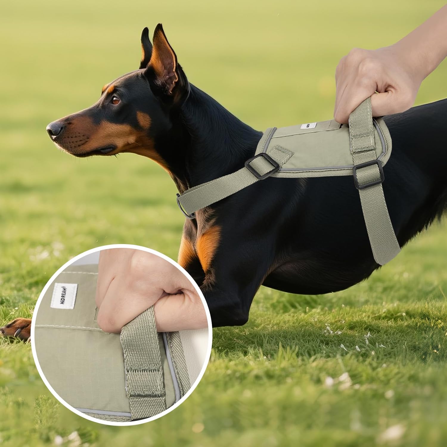 Heavy Duty Dog Control Vest with Leash Set,Placing Tracker Pocket,Adjustable Dog Harness Easy Control Prevent Chafing Pet Vest for Training, Walking, Hiking (Large)