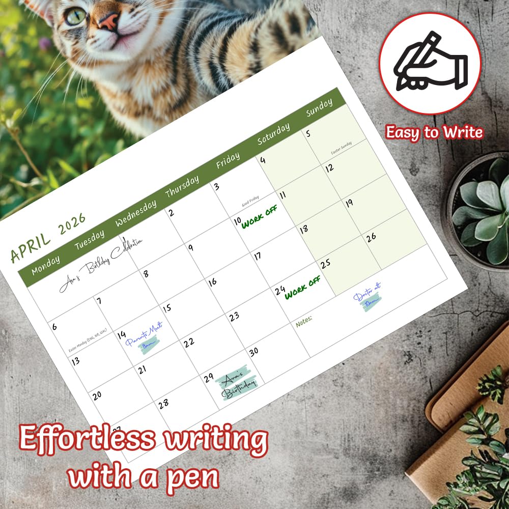 Funny Cat Calendar 2026 — A4 Wall Calendar With 12 Months Of Playful Cat Photos For Home, Office Or School