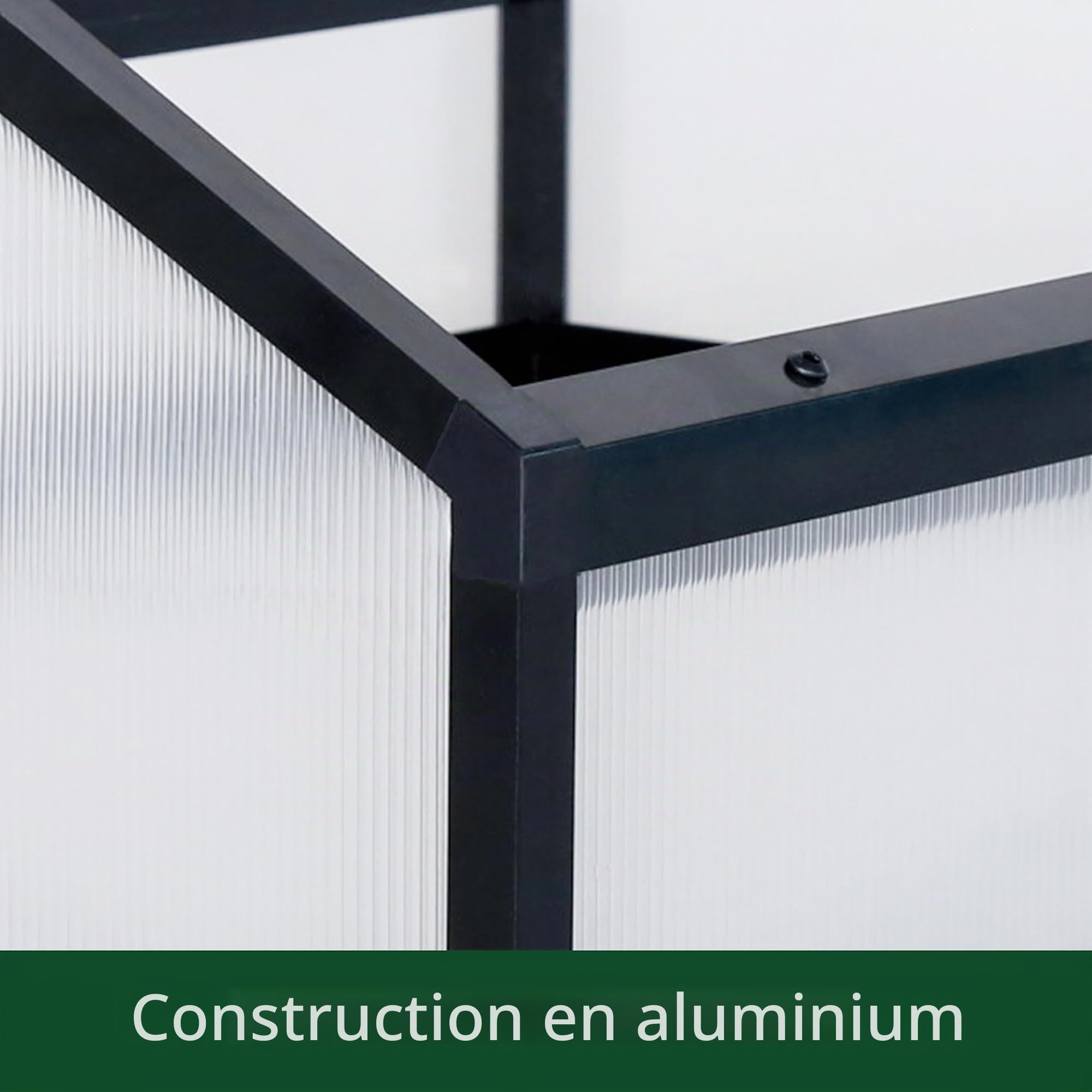 Mini serre en aluminium - Translucide - Pour tomates et plantes - 117 x 97 x 53 cm - Noir