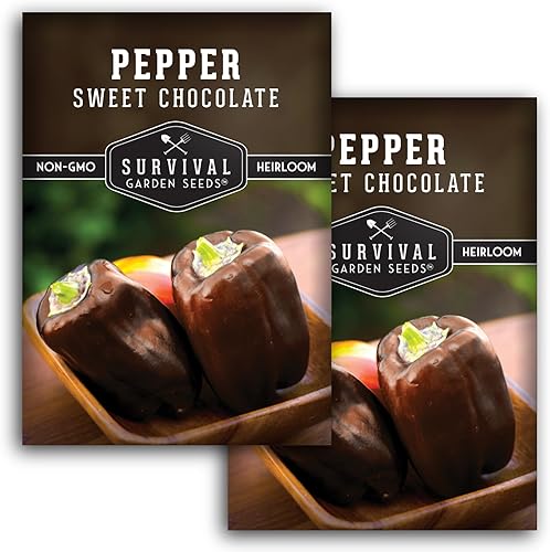 Miniatura 7 de Semillas de pimiento de chocolate dulce para plantar, 1 paquete con instrucciones para plantar y cultivar pimientos marrones dulces en el huerto de