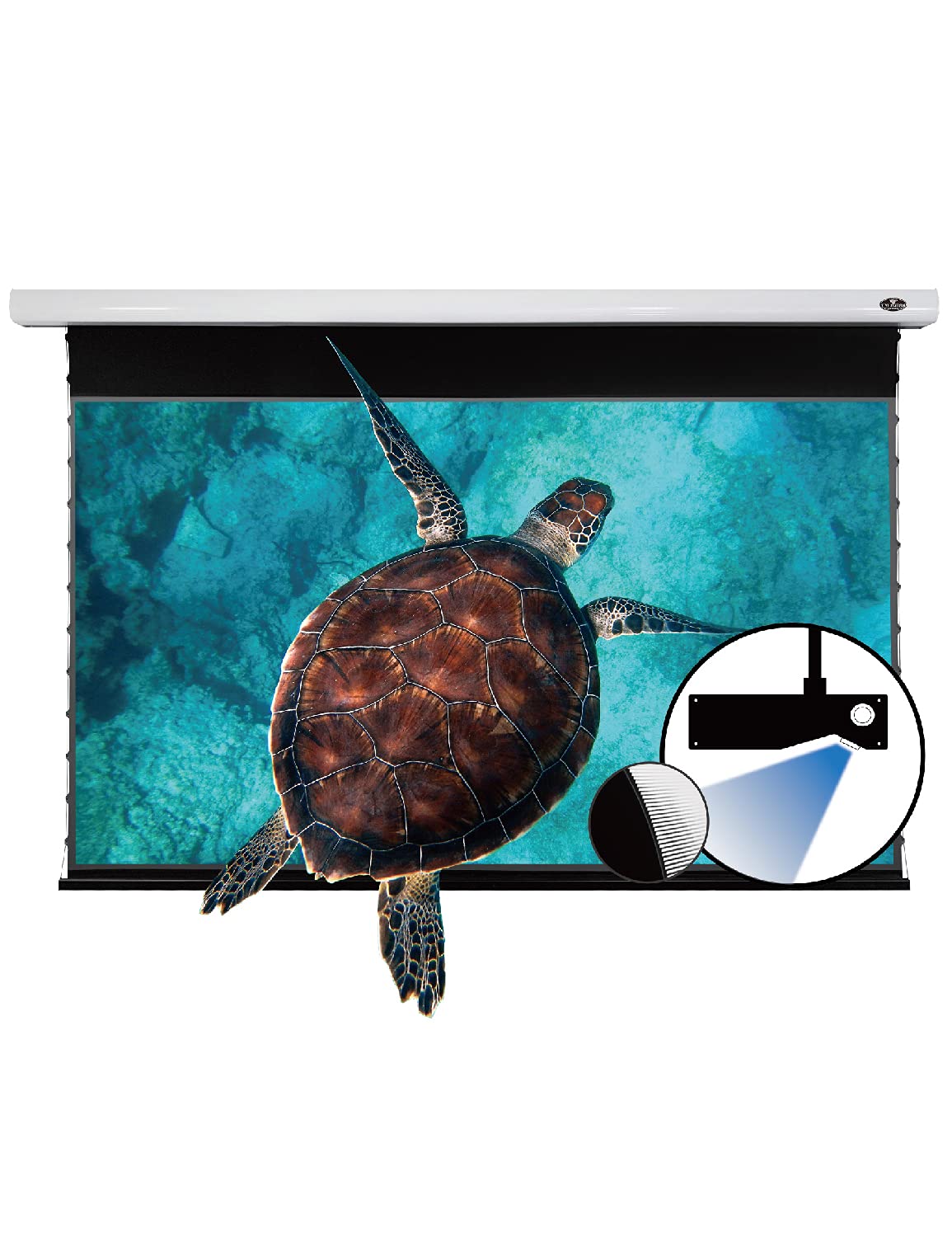 Buy VIVIDSTORMMovie Screens,Ceiling Mount ALR UST Motor Tension Screen