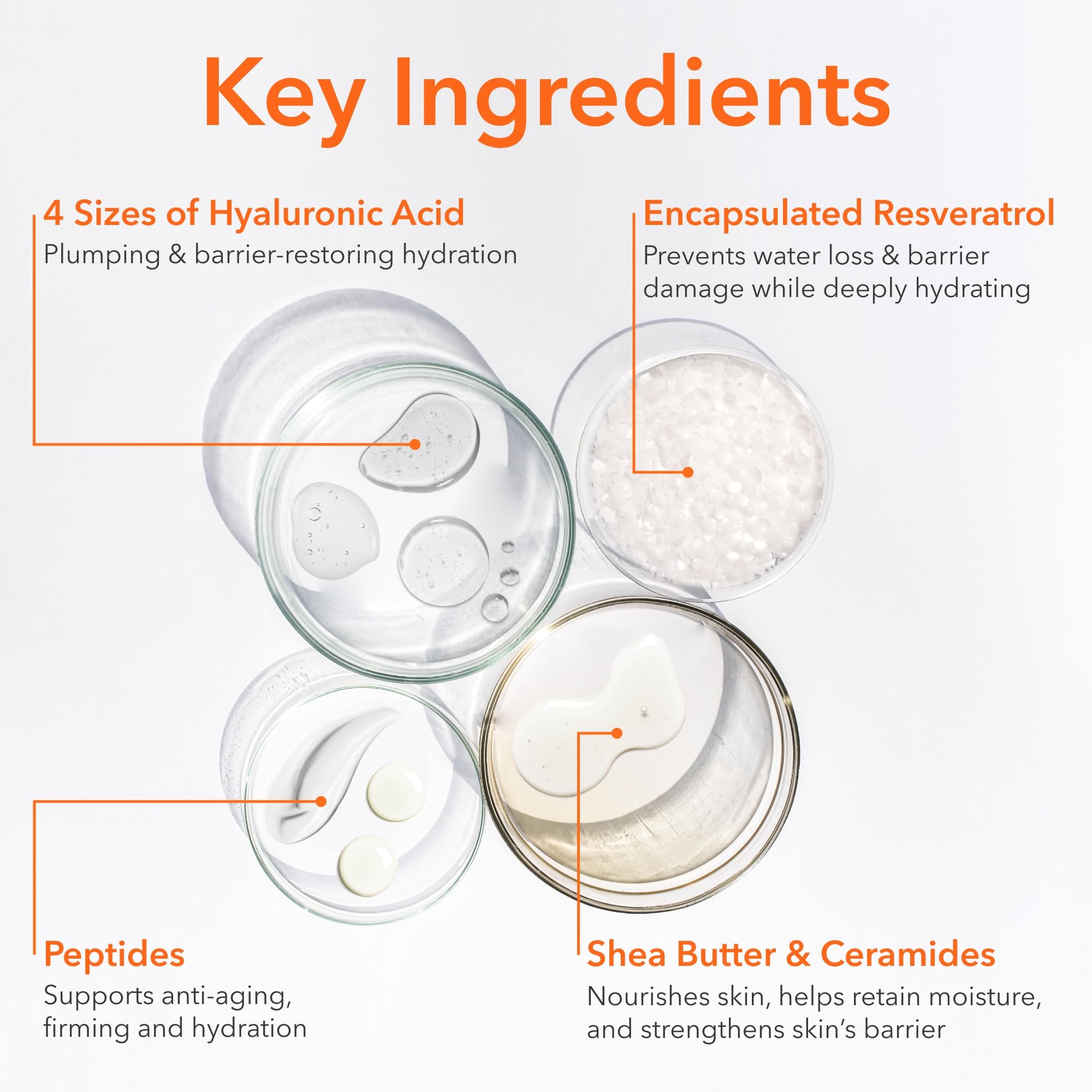 Dr. Dennis Gross DermInfusions Blur + Repair Cream