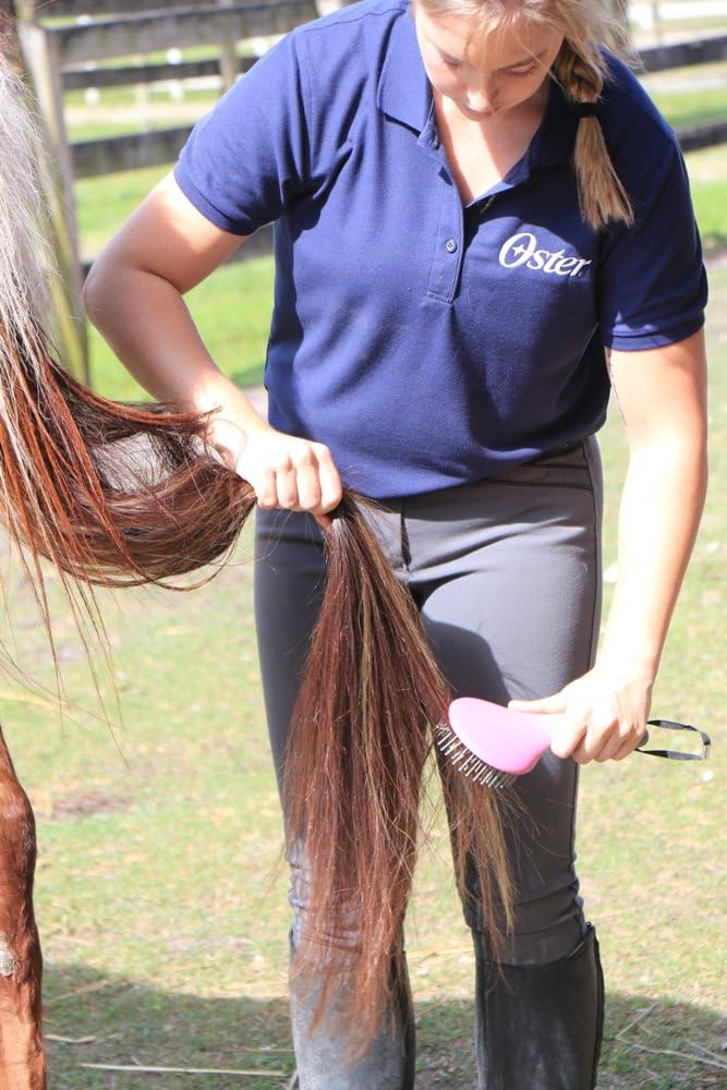 Oster Equine Care Series Mane & Tail Horse Brush, Blue (078399-140-001) : Pet Supplies