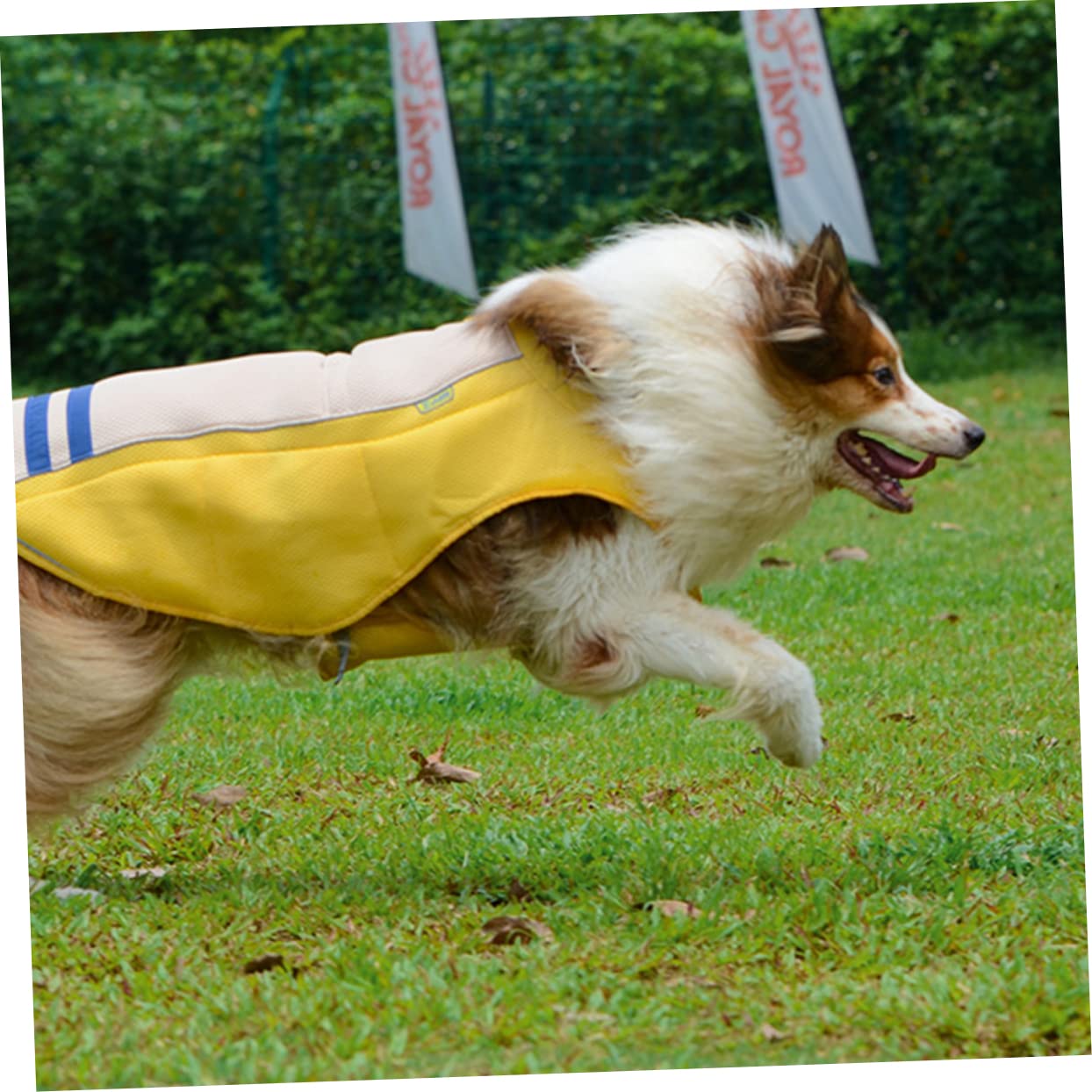 BESTonZON Gilet Rafraîchissant en Polyester Prévention du Coup de Chaleur Jaune pour Animaux de Compagnie Pratique pour Chiens Lors de Défilés D'été et Fêtes du Week-End
