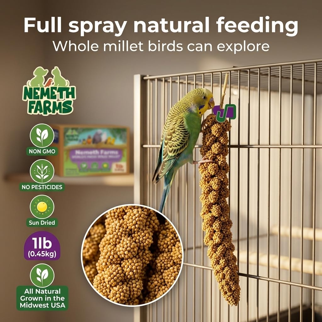 Nemeth Farms Worlds Freshest suszony na słońcu proso w sprayu – nie zawiera genetycznie (bez łodyg tylko jadalnych wierzchnich) – zdrowe przysmaki dla ptaków i suplementów diety dla wszystkich ptaków