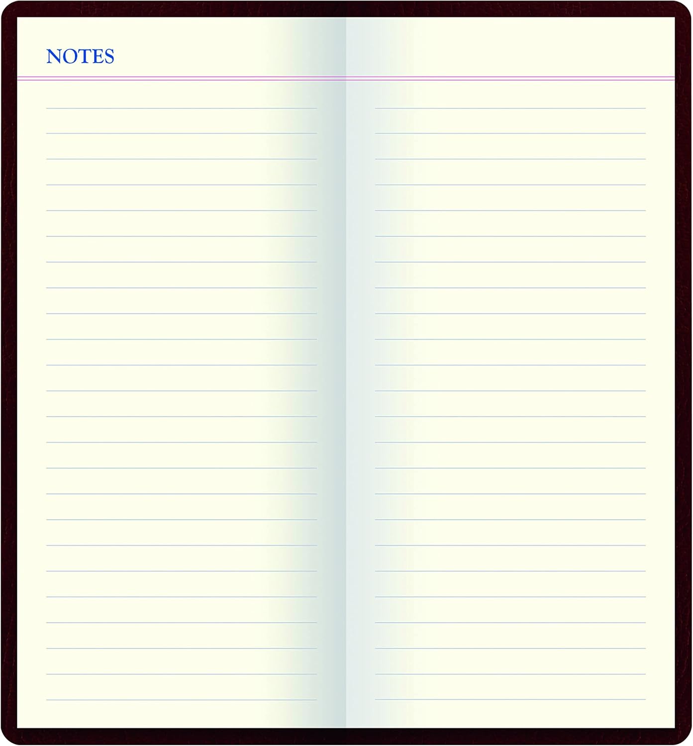 Letts Note Origins Collection Slim Pocket Size Notebook with Gold Pen, Ruled, 240 Pages, Cream Paper, 5.75" x 2.75", Chocolate (B090013)