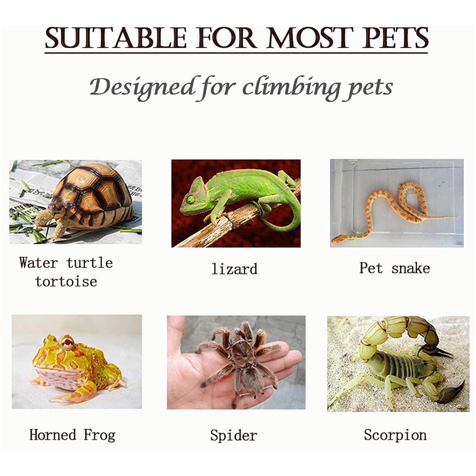 Grotte de Terrarium de Tortues,Résine Plateforme de pèlerinage Habitat caché Aquarium Terrarium décoration Ornement pour Petits lézards Tortues Amphibiens Poisson,XL:41.5 * 28.5cm