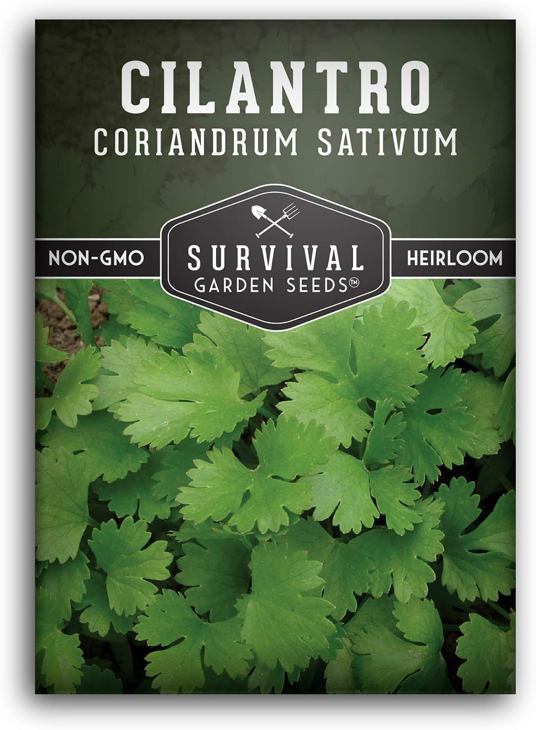 Survival Garden Seeds - Cilantro Seed for Planting - Packet with Instructions to Plant and Grow Coriandrum Sativum in Your Home Vegetable Garden - Non-GMO Heirloom Variety - 1 Pack