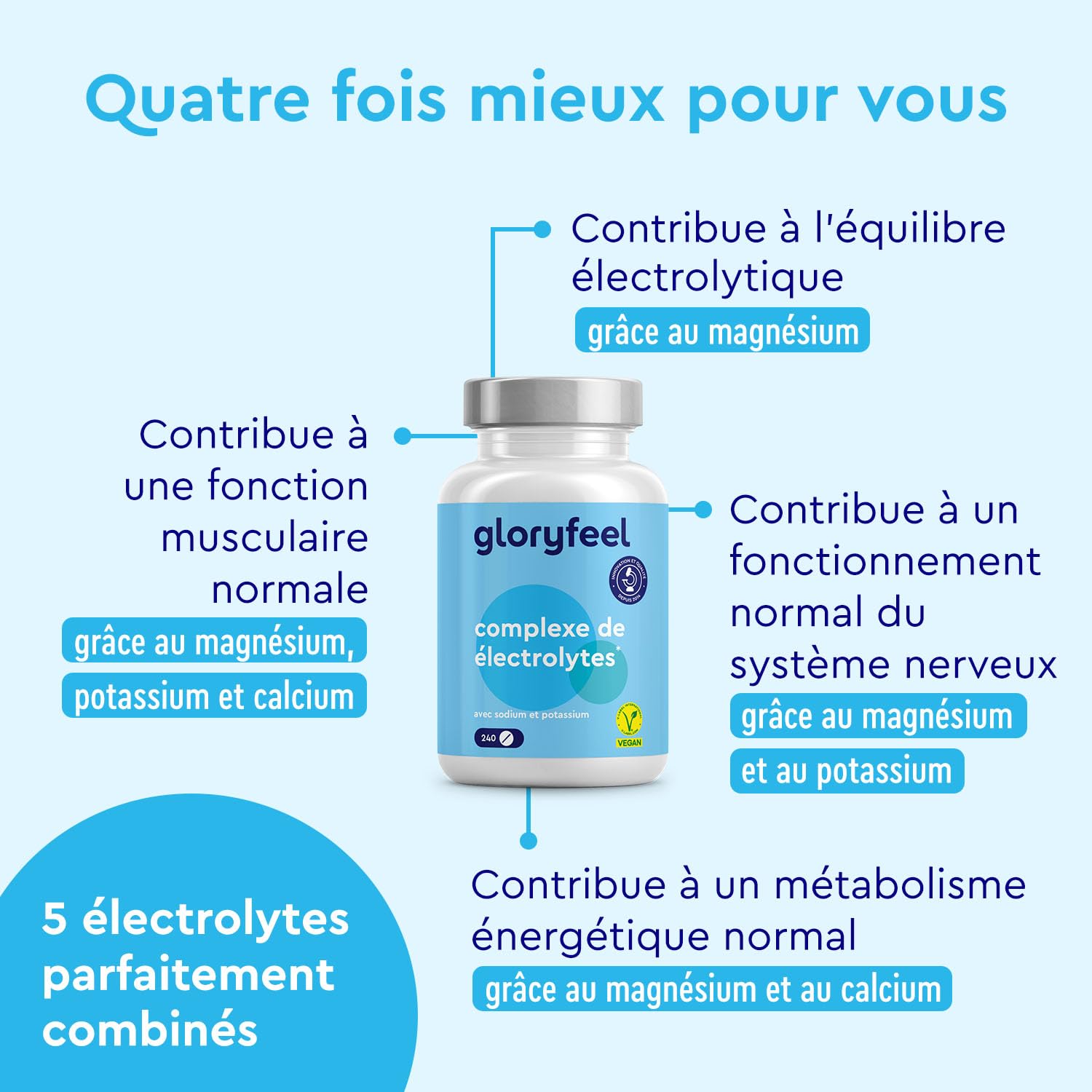 Comprimés Electrolytes Hydratation - 240 Comprimés avec Magnésium, Potassium, Sodium, Calcium et Chlorure - Équilibre Électrolytique* et Fonction Musculaire* - Vegan et Sans Additifs Inutiles